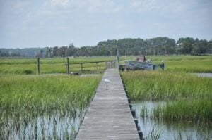 Wooden boardwalk stretching through green marshes toward a small boat docked at the end, with a seagull standing on the planks and a blue sky above.