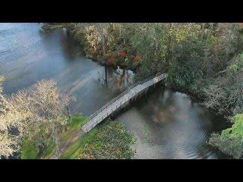 Middleton Place Bridge — Pedestrian bridge by BluTide Marine Construction